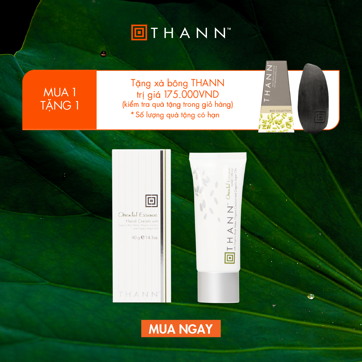 oe - handcream